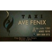 AVE FENIX