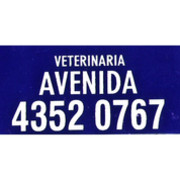 AVENIDA CLINICA VETERINARIA