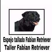TALLER RETRIEVER