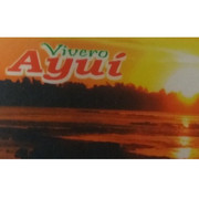 VIVERO AYUI