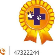 MI CAMPEON VETERINARIA