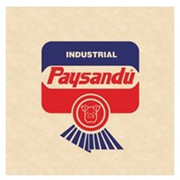 INDUSTRIAL PAYSANDU