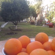 CARMELO HOSTEL & GARDEN