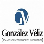 INMOBILIARIA GONZALEZ VELIZ