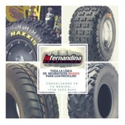 LA FERNANDINA NEUMATICOS