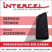 INTERCEL: Telefonía Celular