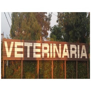 VETERINARIA REAL DE AZÚA