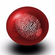 REC Seguridad Electronica