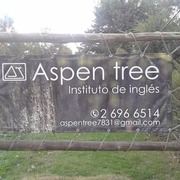 ASPEN TREE INSTITUTE