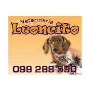 VETERINARIA LEONCITO