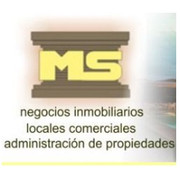 INMOBILIARIA M.S.