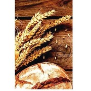 LA NUEVA JERUSALEN PANADERIA