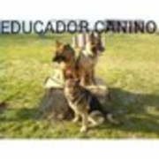 EDUCADOR  CANINO GABRIEL SUAREZ