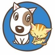 VETERINARIA POROTINO