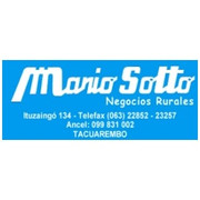 ESCRITORIO MARIO SOTTO