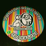 Peluqueria Canina Guau