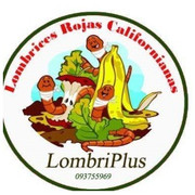 LOMBRIPLUS