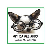 OPTICA DEL ARCO