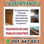 CARPINTERO WASHINGTON RODRIGUEZ