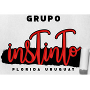 GRUPO INSTINTO