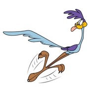 Fletes ''Corre Caminos''