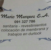 SERVICE PUNTA