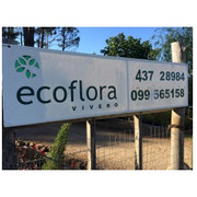 VIVERO ECOFLORA