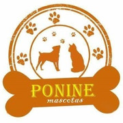 PONINE MASCOTAS