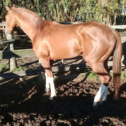 ESTABLECIMIENTO EL ENTREVERO