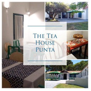 THE TEA HOUSE