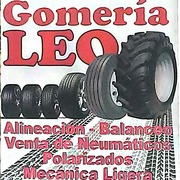GOMERIA LEO