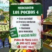 MERCADITO LOS POCHOS 4