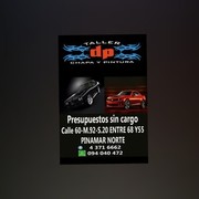 DANIEL PÉREZ CHAPA Y PINTURA