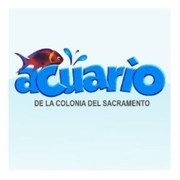 ACUARIO COLONIA
