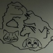 CLINICA VETERINARIA URUGUAY