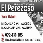 EL PEREZOSO