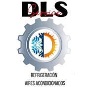 SERVICIO TÉCNICO DLS