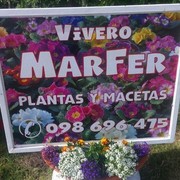 VIVERO MARFER PLANTAS