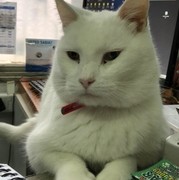 VETERINARIA EL LUGAR