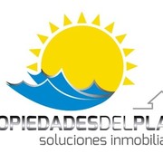 PROPIEDADES DEL PLATA