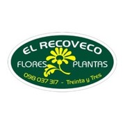 EL RECOVECO