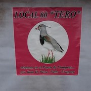 LOCAL 6O " TERO "