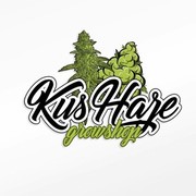 KUSHAZE GROW SHOP