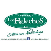 VIVERO LOS HELECHOS