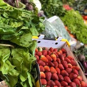 FRUTAS Y VERDURAS NICOLETTI E HIJO