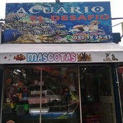 ACUARIO EL DESAFIO