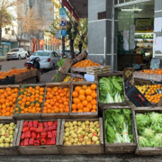 ABASTECIMIENTO FRUTICOLA DEL CENTRO