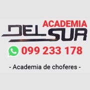 ACADEMIA DEL SUR