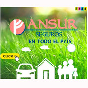 Verónica Goicoechea - Ansur Seguros