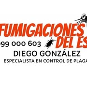 FUMIGACIONES DEL ESTE